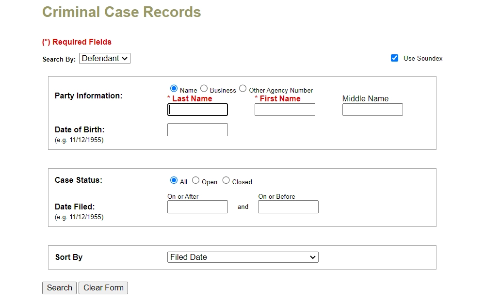 A screenshot of the search tool for criminal records showing first and last names as required fields and other optional fields for refinement.